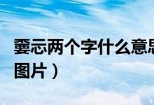嫑忈两个字什么意思（龘龖这两个字儿放大的图片）