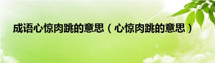 成语心惊肉跳的意思（心惊肉跳的意思）