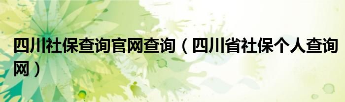 四川社保查询官网查询（四川省社保个人查询网）