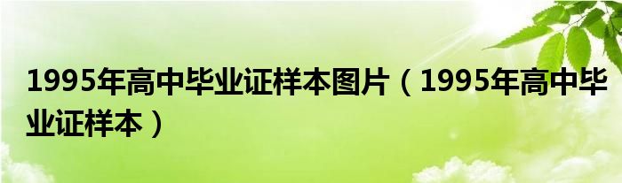 1995年高中毕业证样本图片（1995年高中毕业证样本）