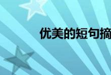 优美的短句摘抄（优美的短句）