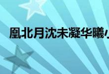凰北月沈未凝华曦小说（沈未凝和凰北月）