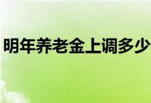 明年养老金上调多少钱（明年养老金上调15）