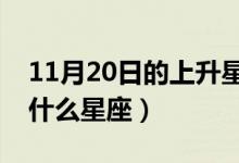 11月20日的上升星座是什么（新历十一月是什么星座）
