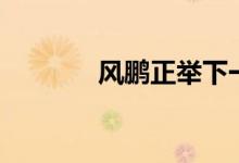 风鹏正举下一句（风鹏正举）