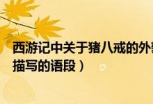西游记中关于猪八戒的外貌描写的句子（西游记猪八戒外貌描写的语段）