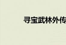 寻宝武林外传官网（寻宝武林）