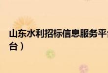 山东水利招标信息服务平台（山东水利工程招标投标服务平台）