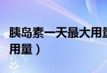 胰岛素一天最大用量是多少（胰岛素一天最大用量）