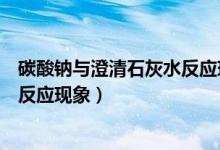 碳酸钠与澄清石灰水反应现象是什么（碳酸钠与澄清石灰水反应现象）
