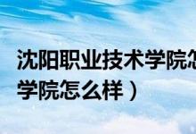 沈阳职业技术学院怎么样贴吧（沈阳职业技术学院怎么样）