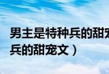 男主是特种兵的甜宠文长篇小说（男主是特种兵的甜宠文）