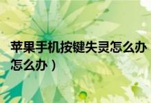 苹果手机按键失灵怎么办 四招帮你解决（苹果手机按键不灵怎么办）