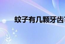 蚊子有几颗牙齿?（蚊子有几颗牙齿）