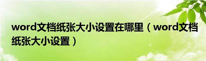 word文档纸张大小设置在哪里（word文档纸张大小设置）