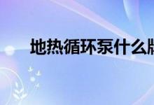 地热循环泵什么牌子好（地热循环泵）