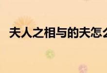 夫人之相与的夫怎么读（夫人之相与的与）