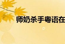 师奶杀手粤语在线观看（师奶杀手）