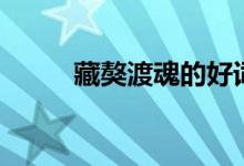 藏獒渡魂的好词好句（藏獒渡魂）
