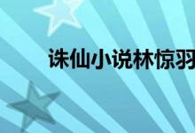 诛仙小说林惊羽结局（林惊羽结局）