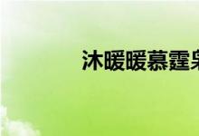 沐暖暖慕霆枭小说（沐暖暖）