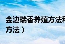 金边瑞香养殖方法和繁殖方法(金边瑞香养殖方法)