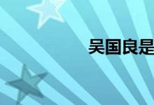 吴国良是谁（吴国良）