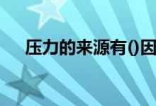 压力的来源有()因素（压力的来源有()）