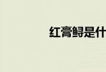 红膏鲟是什么蟹（红膏鲟）