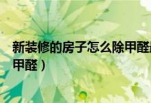 新装修的房子怎么除甲醛最快（刚装修完的房子如何除异味甲醛）