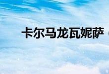 卡尔马龙瓦妮萨（卡尔马龙与瓦妮莎）