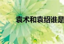 袁术和袁绍谁是哥哥（袁术和袁绍）