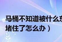马桶不知道被什么东西堵了怎么办（马桶被纸堵住了怎么办）
