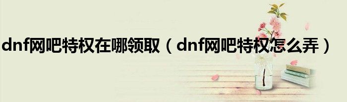 dnf网吧特权在哪领取（dnf网吧特权怎么弄）