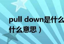 pull down是什么意思中文（pull down是什么意思）