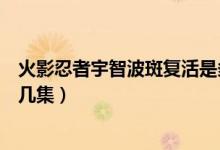 火影忍者宇智波斑复活是多少集（火影忍者宇智波斑复活第几集）