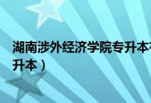 湖南涉外经济学院专升本有哪些专业(湖南涉外经济学院专升本)