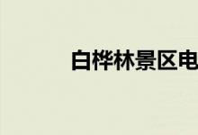 白桦林景区电话（白桦林景区）