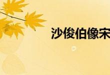 沙俊伯像宋仲基（沙俊伯）