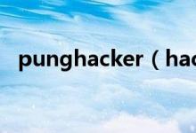 punghacker（hackertyper怎么射导弹）