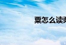 粟怎么读栗（粟怎么读）