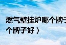 燃气壁挂炉哪个牌子的质量好（燃气壁挂炉哪个牌子好）