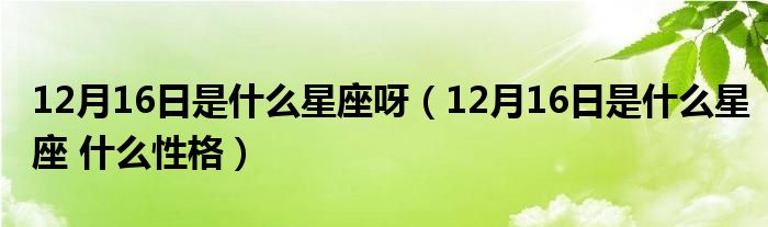 12月16日是什么星座呀（12月16日是什么星座 什么性格）