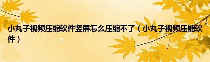 小丸子视频压缩软件竖屏怎么压缩不了（小丸子视频压缩软件）