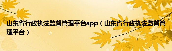 山东省行政执法监督管理平台app（山东省行政执法监督管理平台）