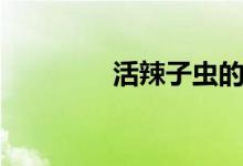 活辣子虫的功效（活辣子）