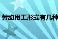 劳动用工形式有几种（劳动用工形式怎么填）