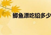 鲫鱼漂吃铅多少合适野钓(鲫鱼漂)
