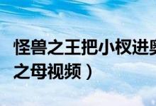 怪兽之王把小杈进奥特之母小鸡（怪兽泡奥特之母视频）
