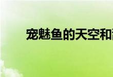 宠魅鱼的天空和乱（宠魅 鱼的天空）